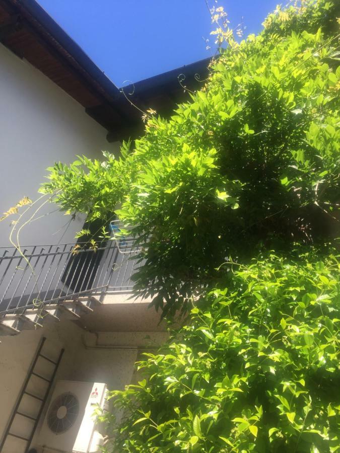 Delizioso Appartamento In Corte Vittuone Zewnętrze zdjęcie